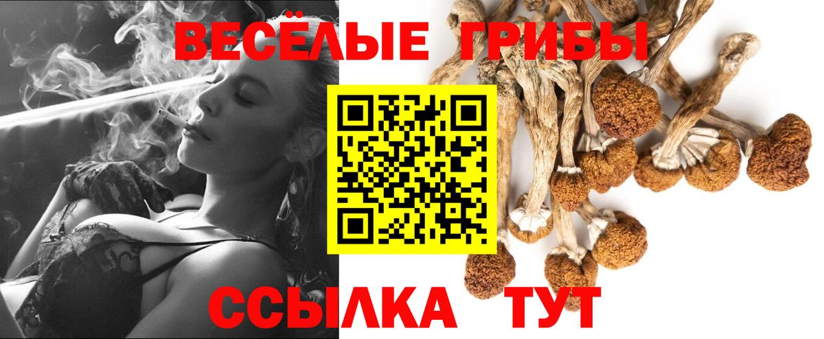 Галлюциногенные грибы MAGIC MUSHROOMS  Вход с VPN  Каменск-Шахтинский 